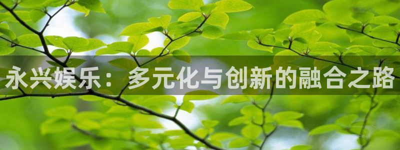 杏鑫娱乐：永兴娱乐：多元化与创新的融合之路