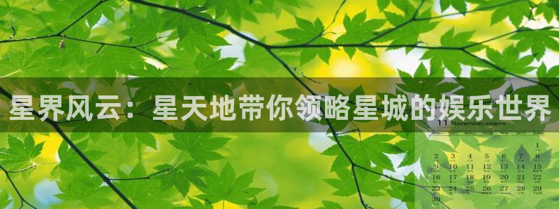 杏鑫娱乐：星界风云：星天地带你领略星城的娱乐世界