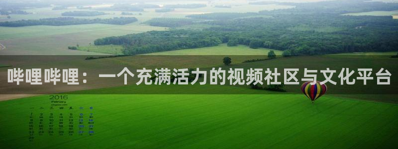 杏鑫娱乐：哔哩哔哩：一个充满活力的视频社区与文化平台