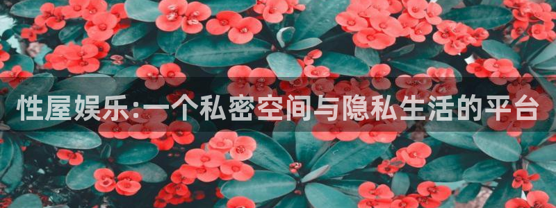 杏鑫娱乐：性屋娱乐:一个私密空间与隐私生活的平台