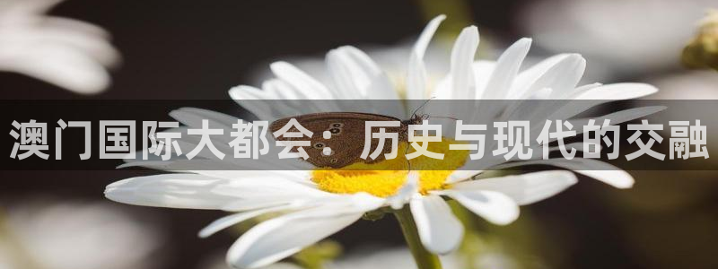 杏鑫娱乐：澳门国际大都会：历史与现代的交融